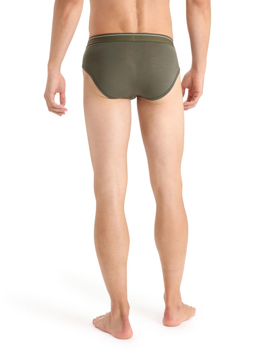 Loden Icebreaker Merino Anatomica Briefs Men's Underwear | AU 1297LISH